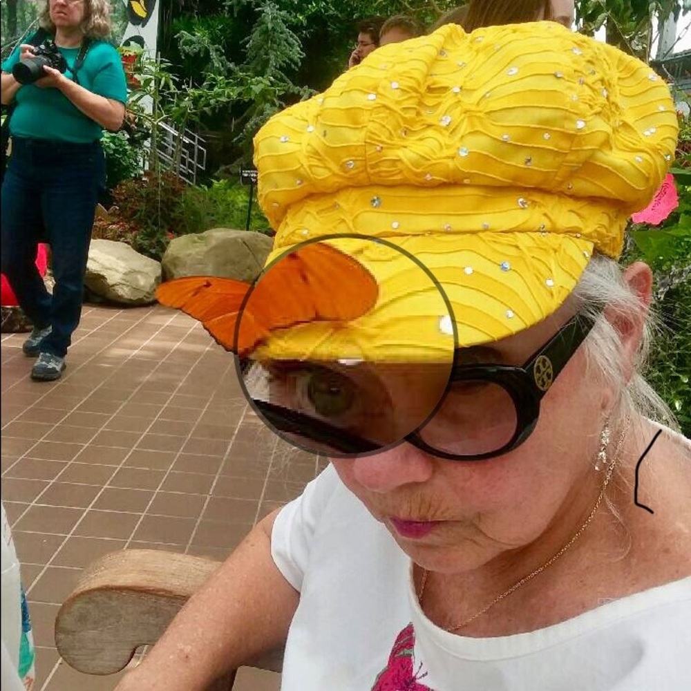 Meet your Posher, Judi